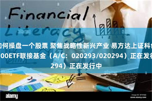 如何操盘一个股票 聚焦战略性新兴产业 易方达上证科创板100ETF联接基金（A/C：020293/020294）正在发行中