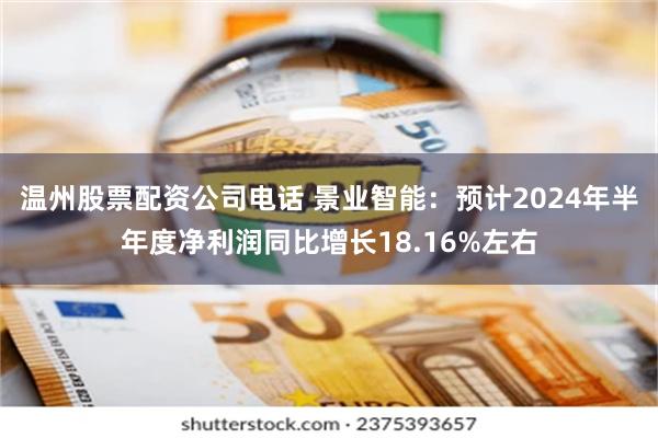 温州股票配资公司电话 景业智能：预计2024年半年度净利润同比增长18.16%左右