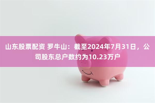 山东股票配资 罗牛山：截至2024年7月31日，公司股东总户数约为10.23万户