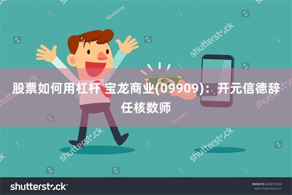 股票如何用杠杆 宝龙商业(09909)：开元信德辞任核数师