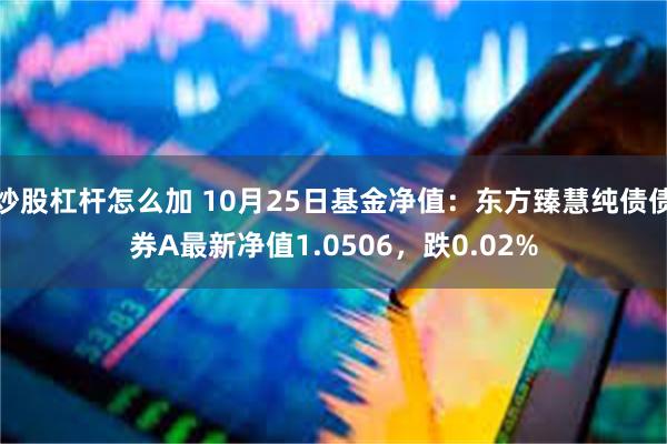 炒股杠杆怎么加 10月25日基金净值：东方臻慧纯债债券A最新净值1.0506，跌0.02%