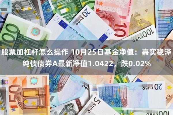 股票加杠杆怎么操作 10月25日基金净值：嘉实稳泽纯债债券A最新净值1.0422，跌0.02%