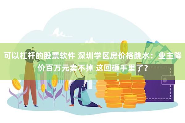 可以杠杆的股票软件 深圳学区房价格跳水：业主降价百万元卖不掉 这回砸手里了？