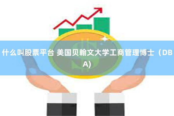 什么叫股票平台 美国贝翰文大学工商管理博士（DBA)