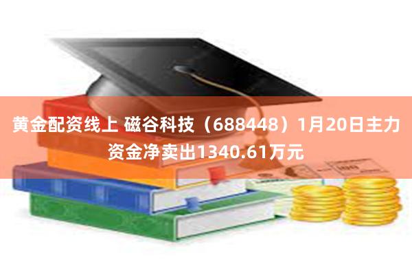 黄金配资线上 磁谷科技（688448）1月20日主力资金净卖出1340.61万元