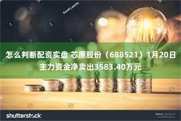 怎么判断配资实盘 芯原股份（688521）1月20日主力资金净卖出3583.40万元