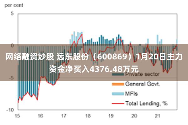 网络融资炒股 远东股份（600869）1月20日主力资金净买入4376.48万元