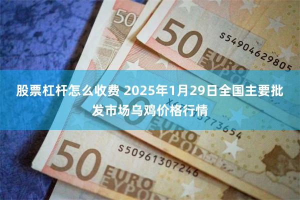 股票杠杆怎么收费 2025年1月29日全国主要批发市场乌鸡价格行情