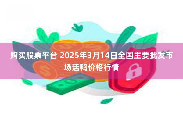 购买股票平台 2025年3月14日全国主要批发市场活鸭价格行情